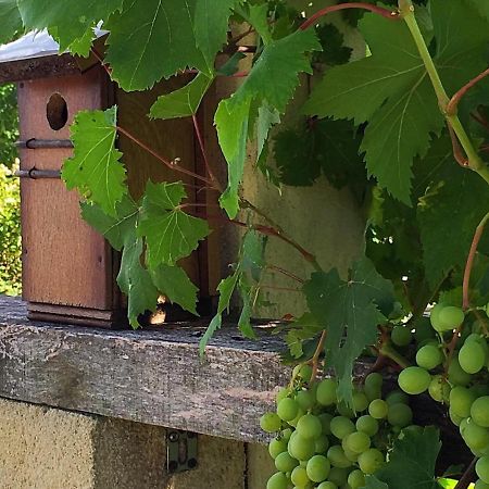 5 Lasserre Moulon-sur-Dordogne Eksteriør bilde