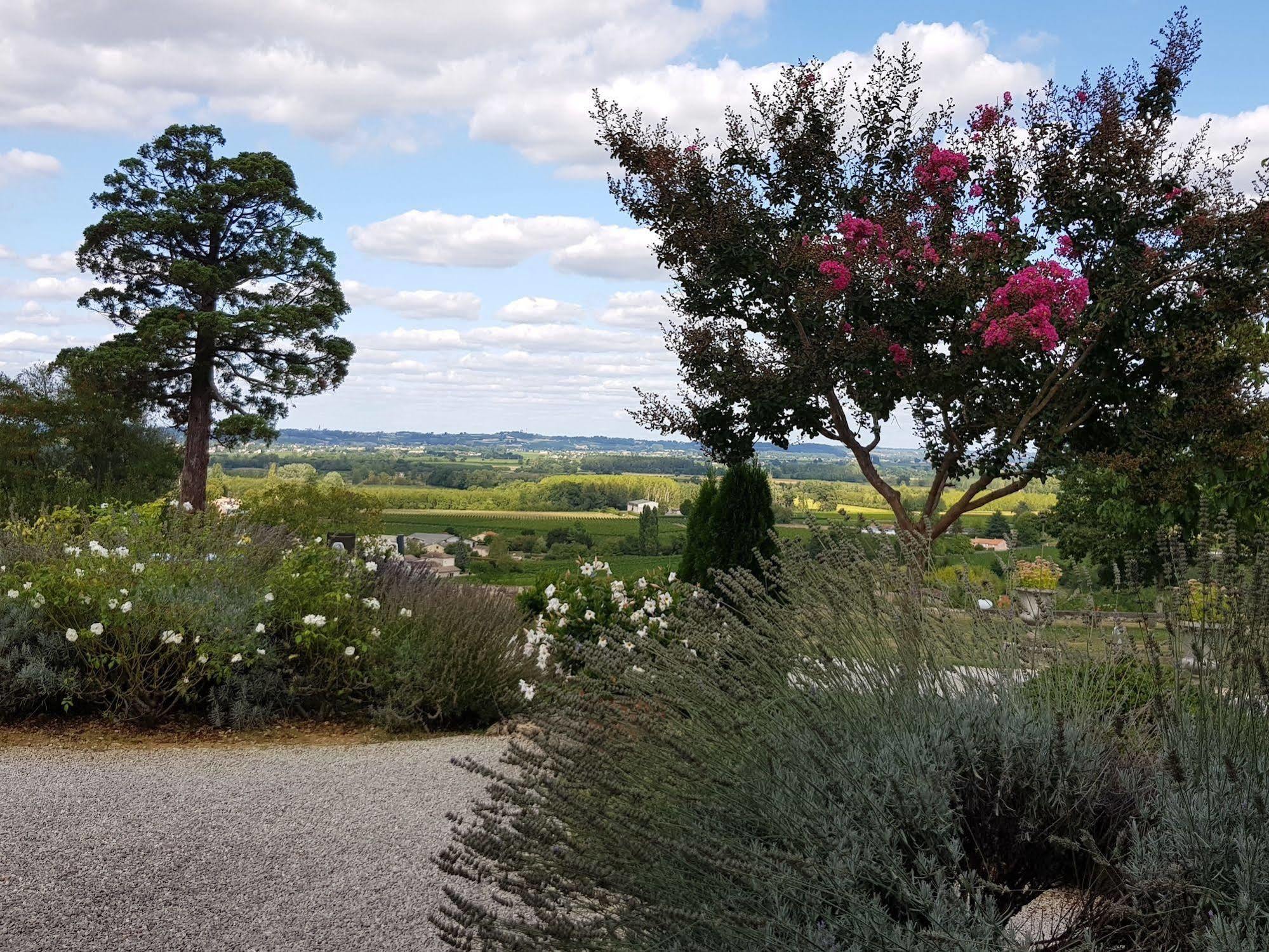 5 Lasserre Moulon-sur-Dordogne Eksteriør bilde